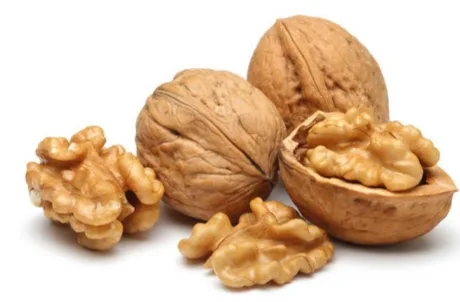 walnuts in shell